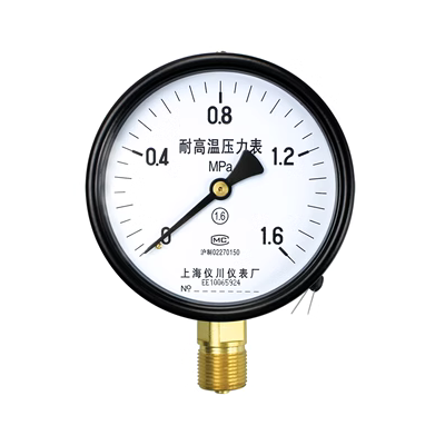 Thượng Hải Yichuan Cụ YTW100 chống ăn mòn và chịu nhiệt độ cao đồng hồ đo áp suất nồi hơi hơi đồng hồ đo áp suất áp suất nước áp suất dầu