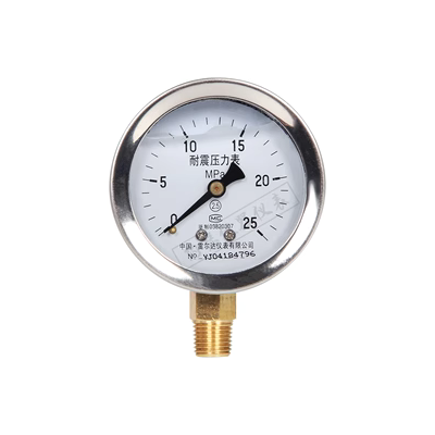 Đồng hồ đo áp suất chống sốc Relda YN-60 0-1.6/2.5/40Mpa đồng hồ đo áp suất nước M14×1.5 ren PT1/4