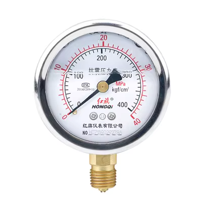 Đồng hồ đo áp suất địa chấn Hongqi YTN60 vỏ bằng thép không gỉ phát hiện áp suất nước địa chấn chân không đồng hồ đo áp suất âm có thể được tùy chỉnh