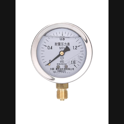 Đồng hồ đo áp suất hướng tâm chống sốc Relda YN60, đồng hồ đo áp suất âm chân không bằng thép không gỉ, đồng hồ đo áp suất dầu chống sốc bằng thép không gỉ 1.6mpa